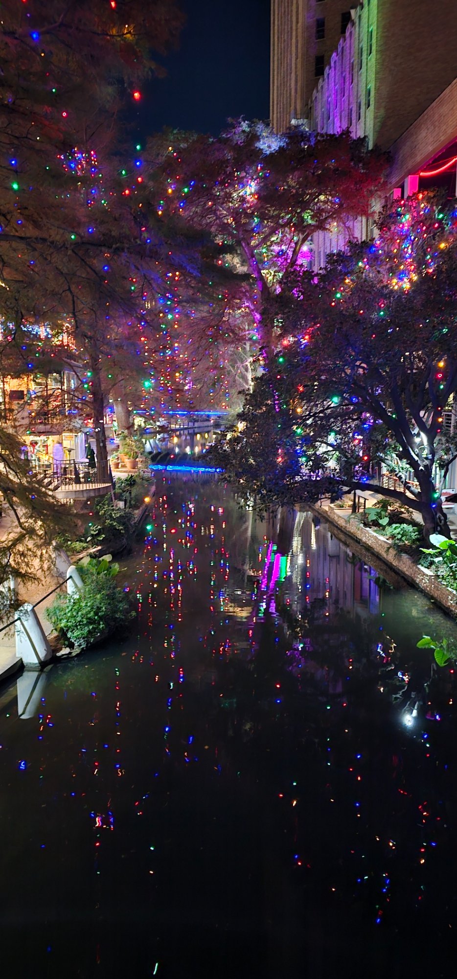 River Walk Christmas lights